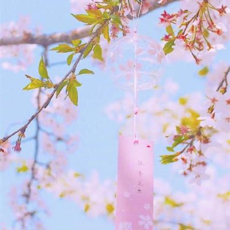 青木康直 - 马酷电影大全在线观看8 - 线上看剧